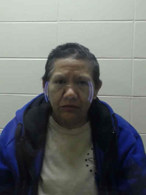 Mugshot of NUNEZ, ROSA LINDA