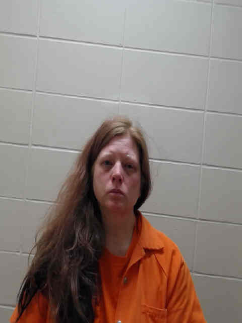Mugshot of WARNKE, AMY ANGELIA