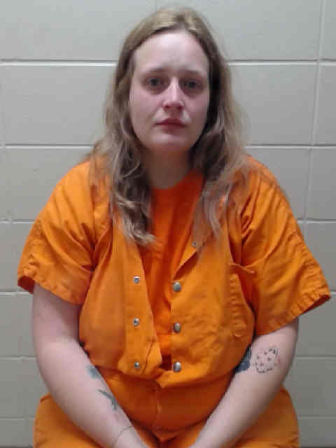 Mugshot of EHLERS, DEZIRAY ANGELIA
